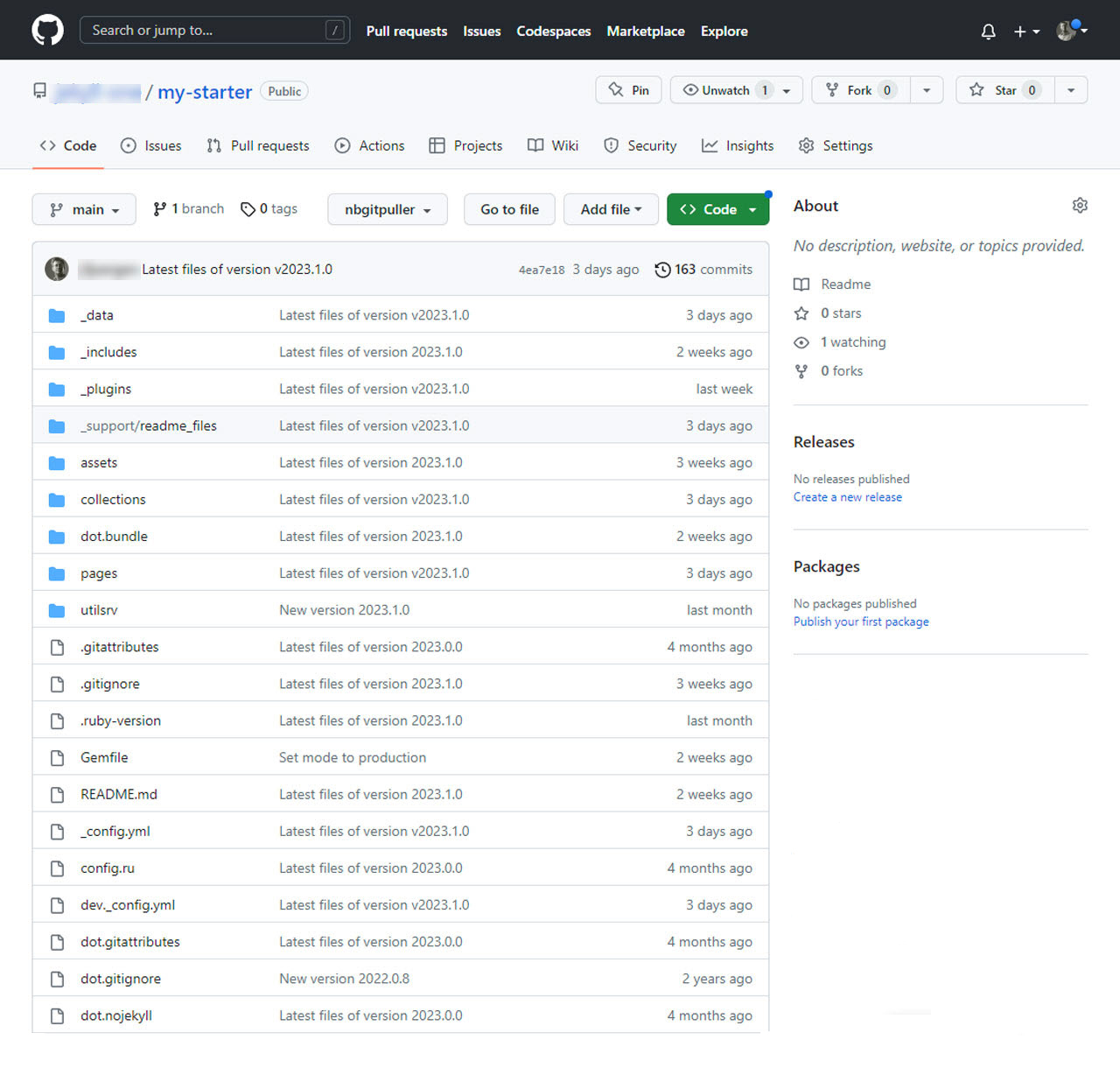 Repository overview at Github (your account)